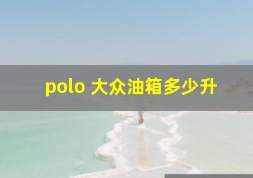 polo 大众油箱多少升